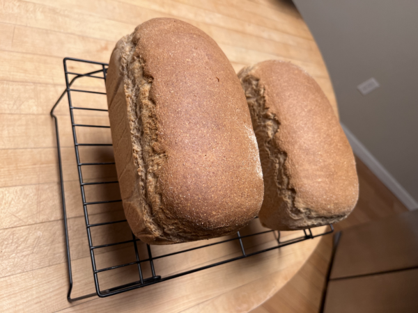 Family Heirloom Dehydrated Sourdough Starter - Organic Whole Wheats - Hard Red, Spelt, Einkorn - Image 4