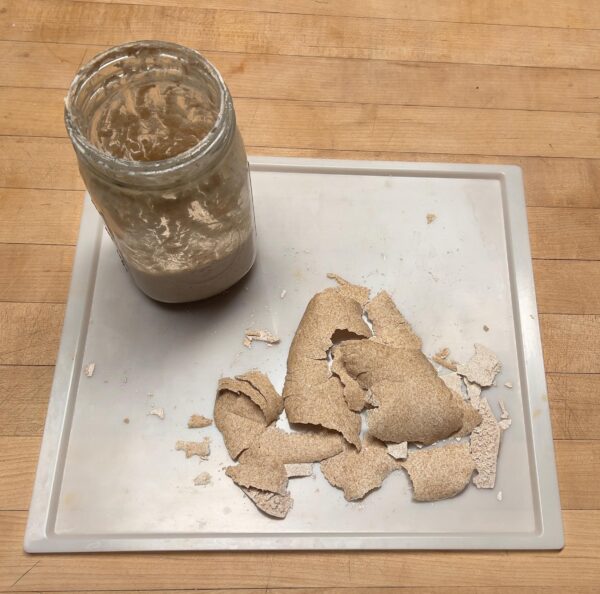 Family Heirloom Dehydrated Sourdough Starter - Organic Whole Wheats - Hard Red, Spelt, Einkorn